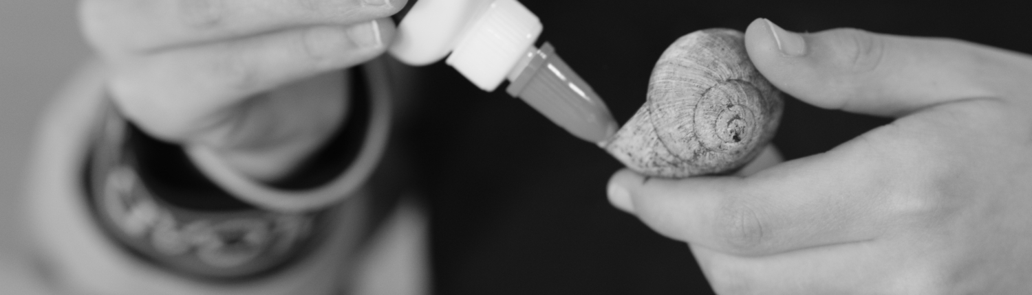 Ferienprogramm-2025-5